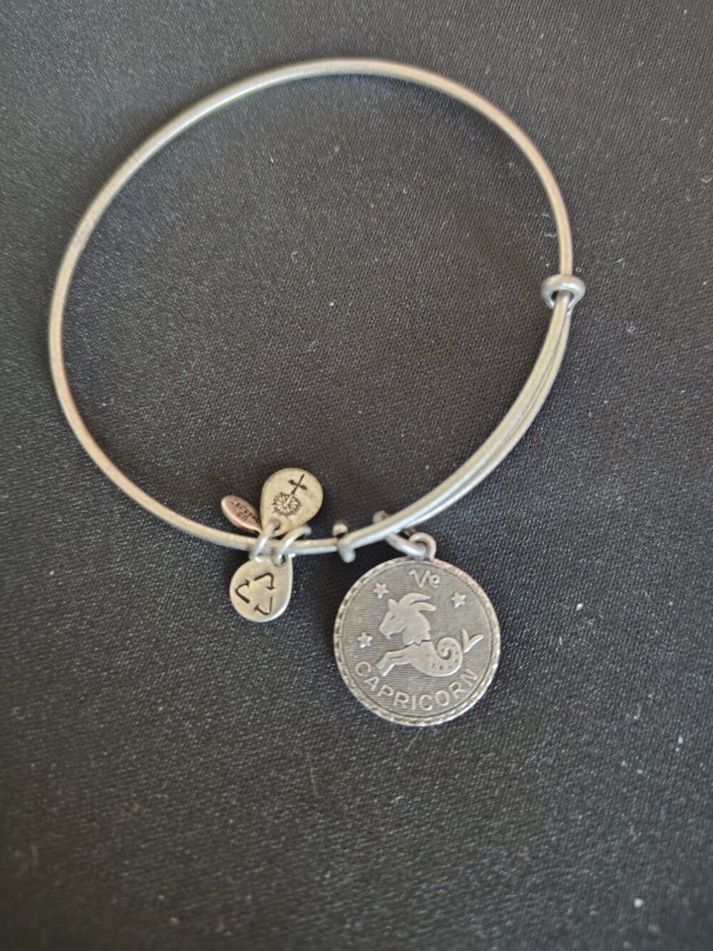 Alex and Ani Capricorn Silver Charm Bracelet Bangle Zodiac 🐐♑ #832